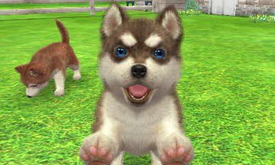 Nintendo Spiele: Nintendogs + Cats Zwergpudel & Neue Freunde  3DS – Gebraucht aus Schüpfheim von Games_Spielkonsolen 4