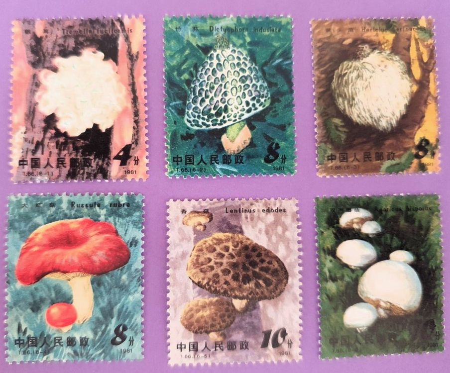 Collection De 100 Timbres Champignons Différents – Authentiques Et Variés – Idéal Pour Débutants Et Passionnés – Livraison Rapide