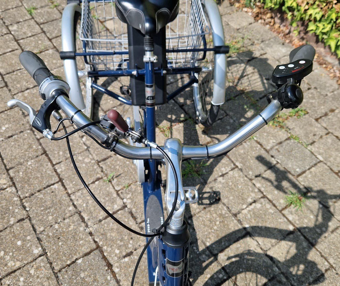 Veicoli elettrici: Elektro 3 Rad Velo – Usato da Seengen venduto da Pfoesu07 3