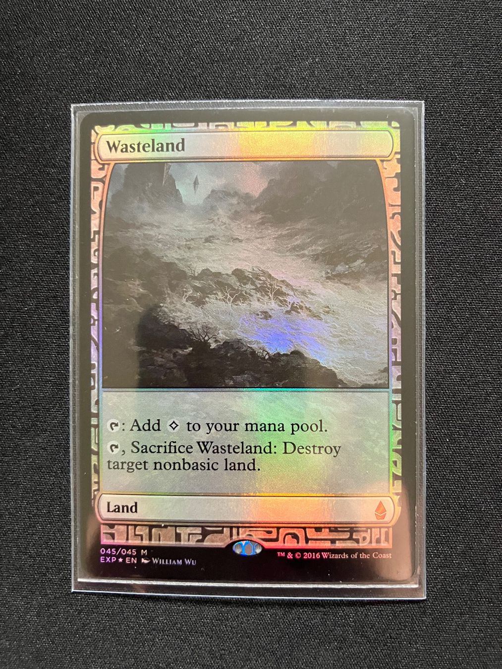 Cartoline: Wasteland MTG foil – Usato da luzern venduto da rammdave