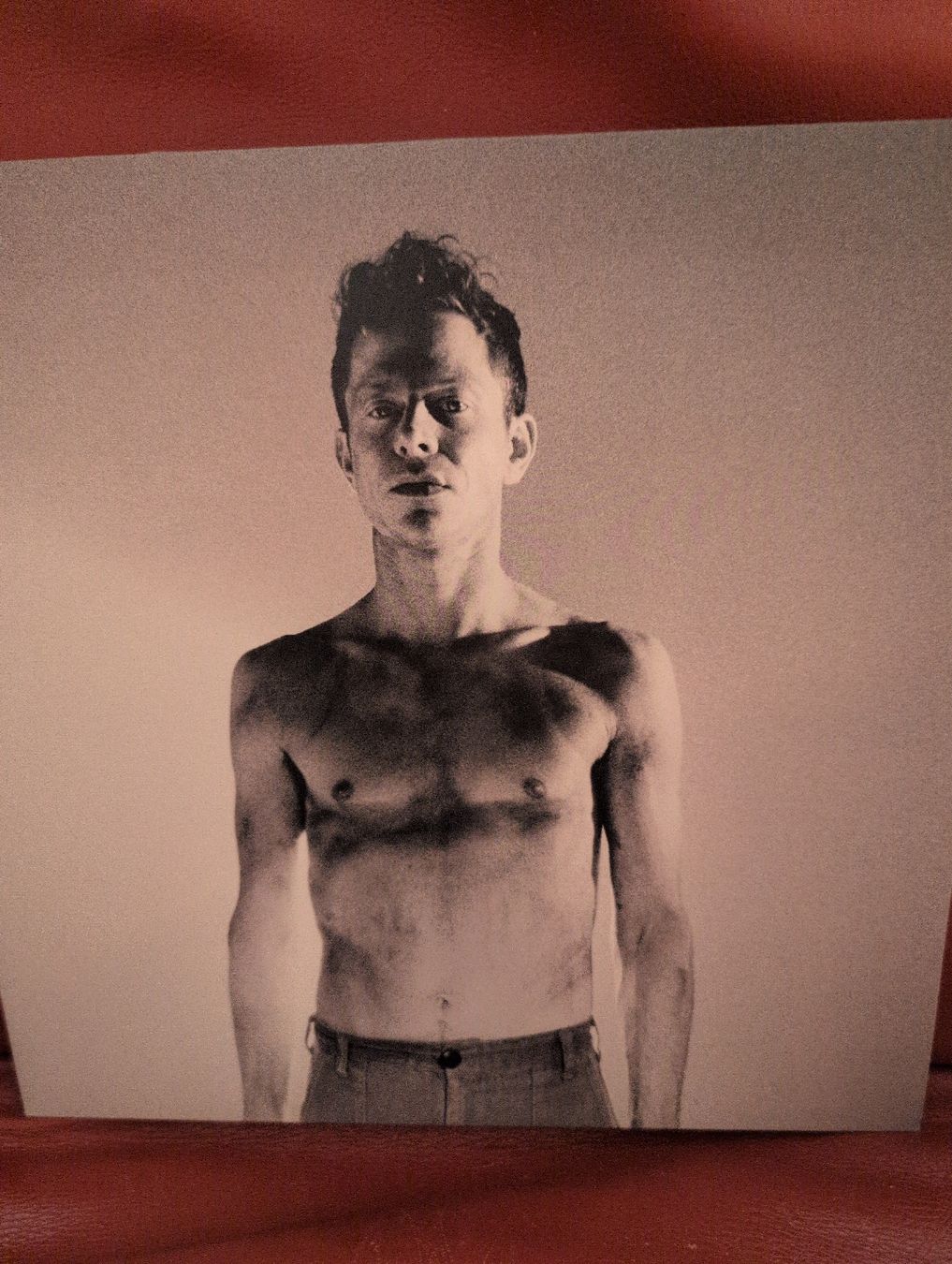Dischi in vinile: Perfume Genius - Set my Heart on Fire – Nuovo (secondo la descrizione) da Bern venduto da rabbit01