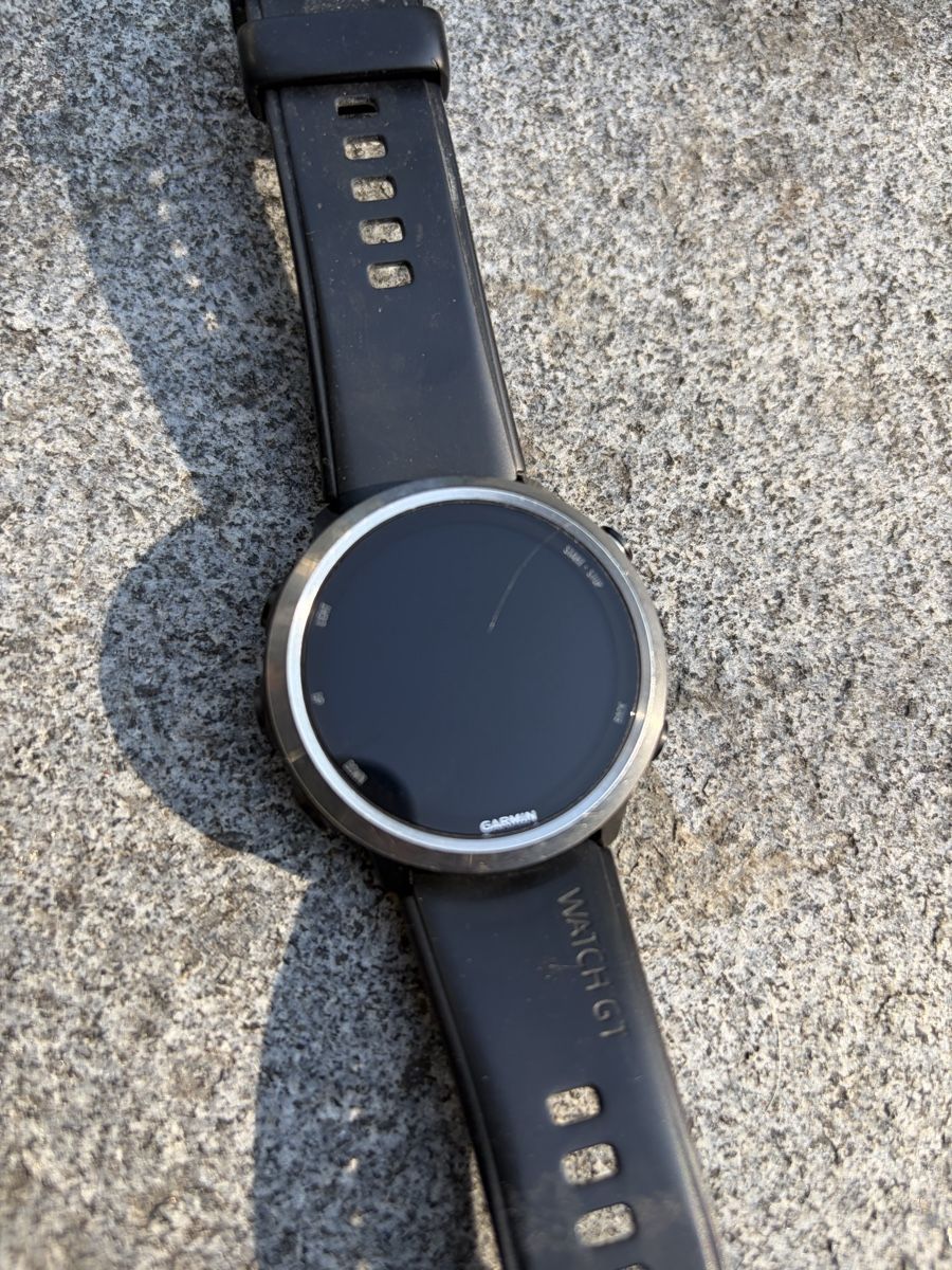 Garmin Smartwatch: Smartwatch Garmin Forerunner 645 – Usato da Winterthur venduto da Bayon 1
