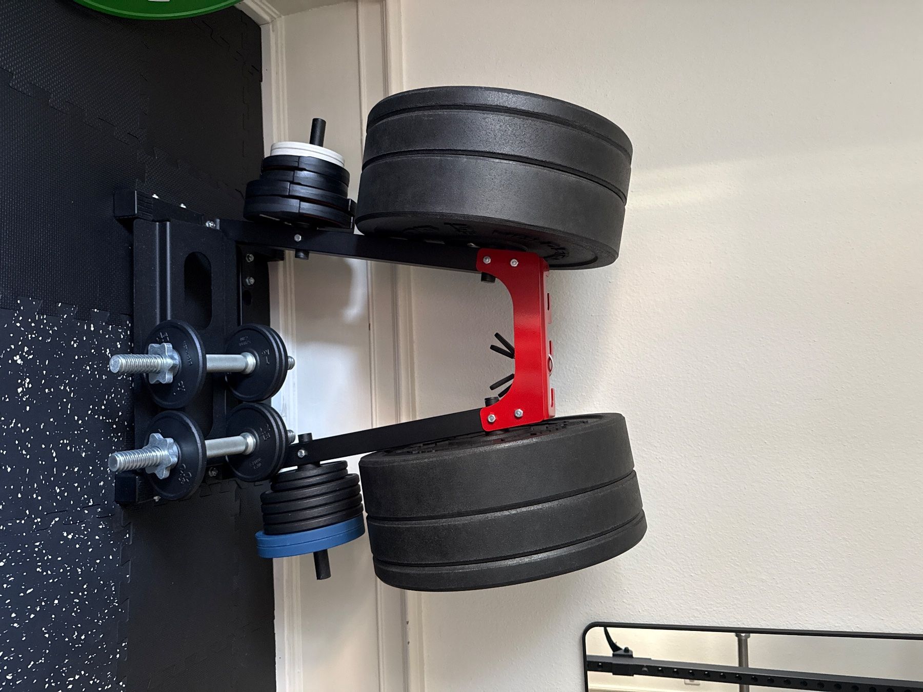 Accessori: Weight Plate & Dumbbell Storage Stand – Nuovo (secondo la descrizione) da Basel venduto da mro_w2m8 2