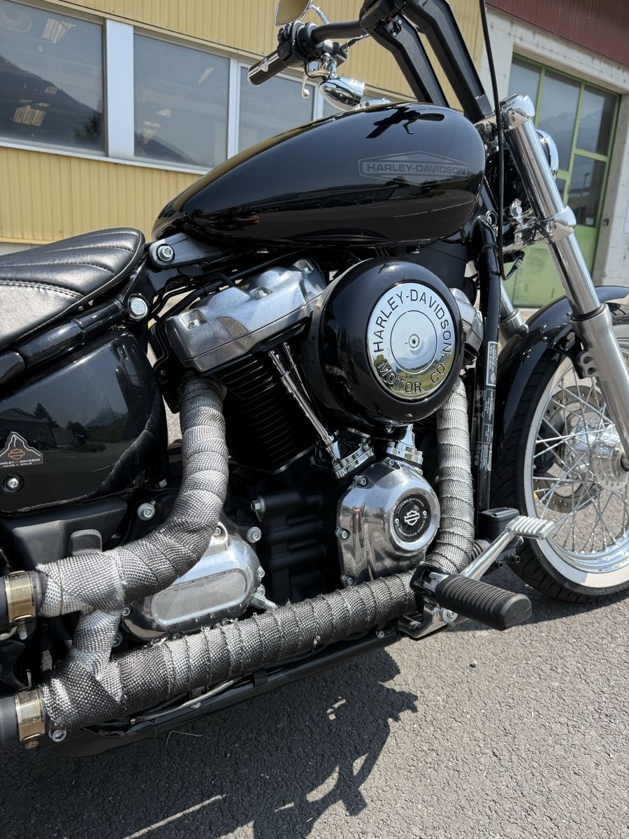 Harley-Davidson Autres: Harley-Davidson softail standard FXST – D'occasion à Ollon VD par lio_n57m 7