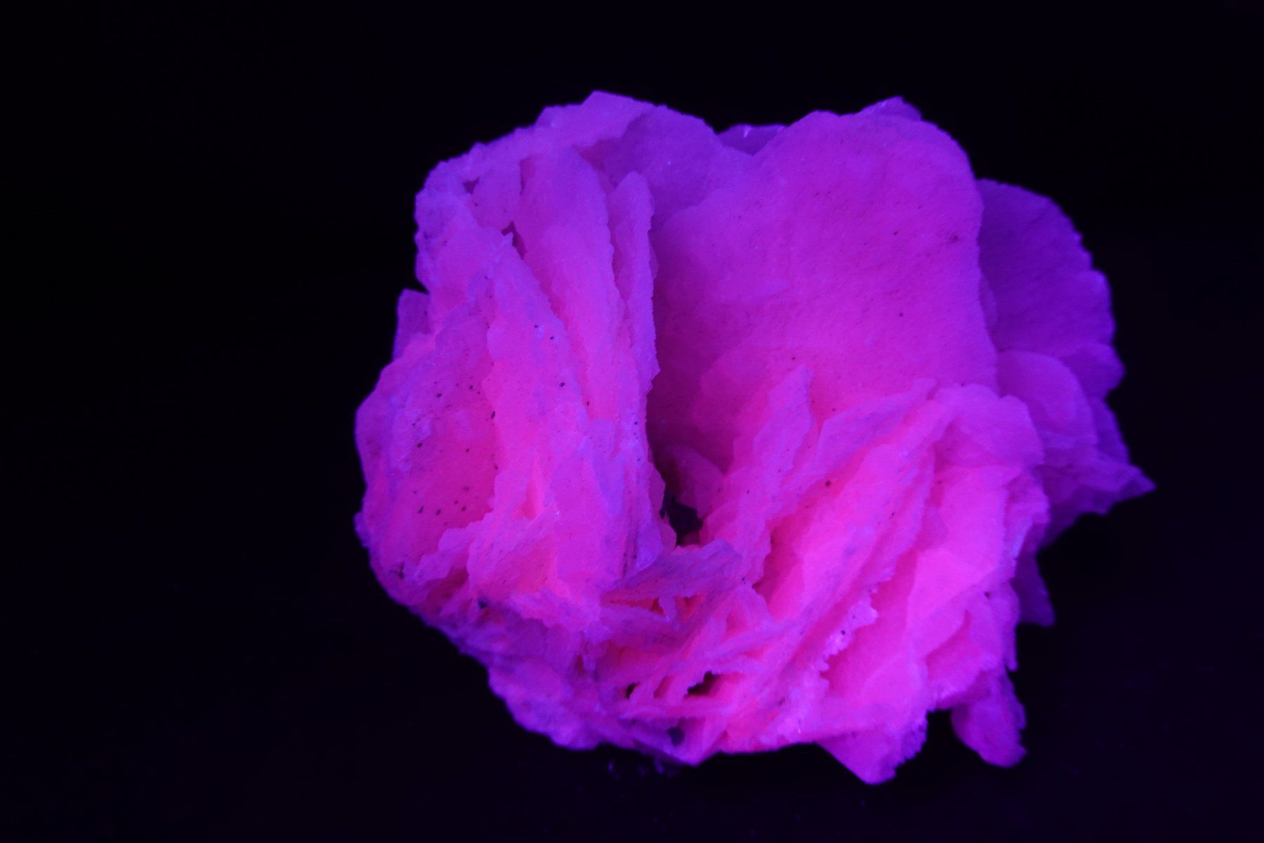 Minerali & Pietre curative: Calcit var. Manganoan (UV-Pink) – Usato da Schinznach Bad venduto da Demerald