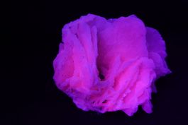 Calcit var. Manganoan (UV-Pink)