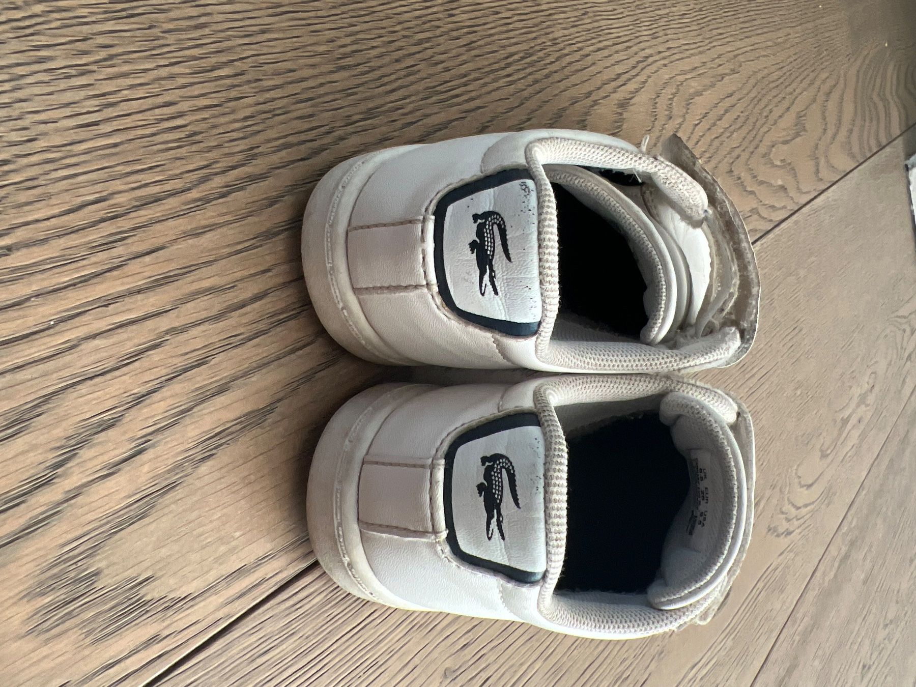 Lacoste Scarpe per ragazzi: Scarpe Lacoste 26 – Usato da Minusio venduto da bio_z7yv 1