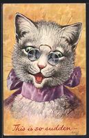 Arthur Thiele: This is so sudden, Katze 