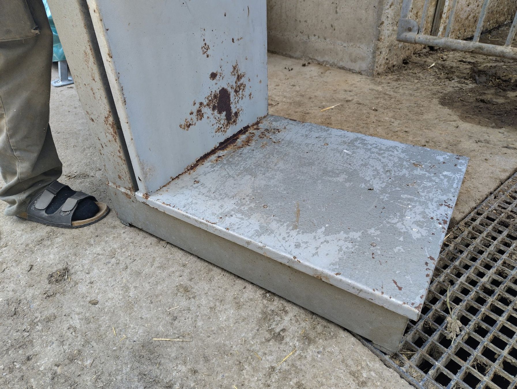 Christen & Co Bilance e pesi: Sackwaage 250 kg Tragkraft – Usato da Trub venduto da Cbastian 7