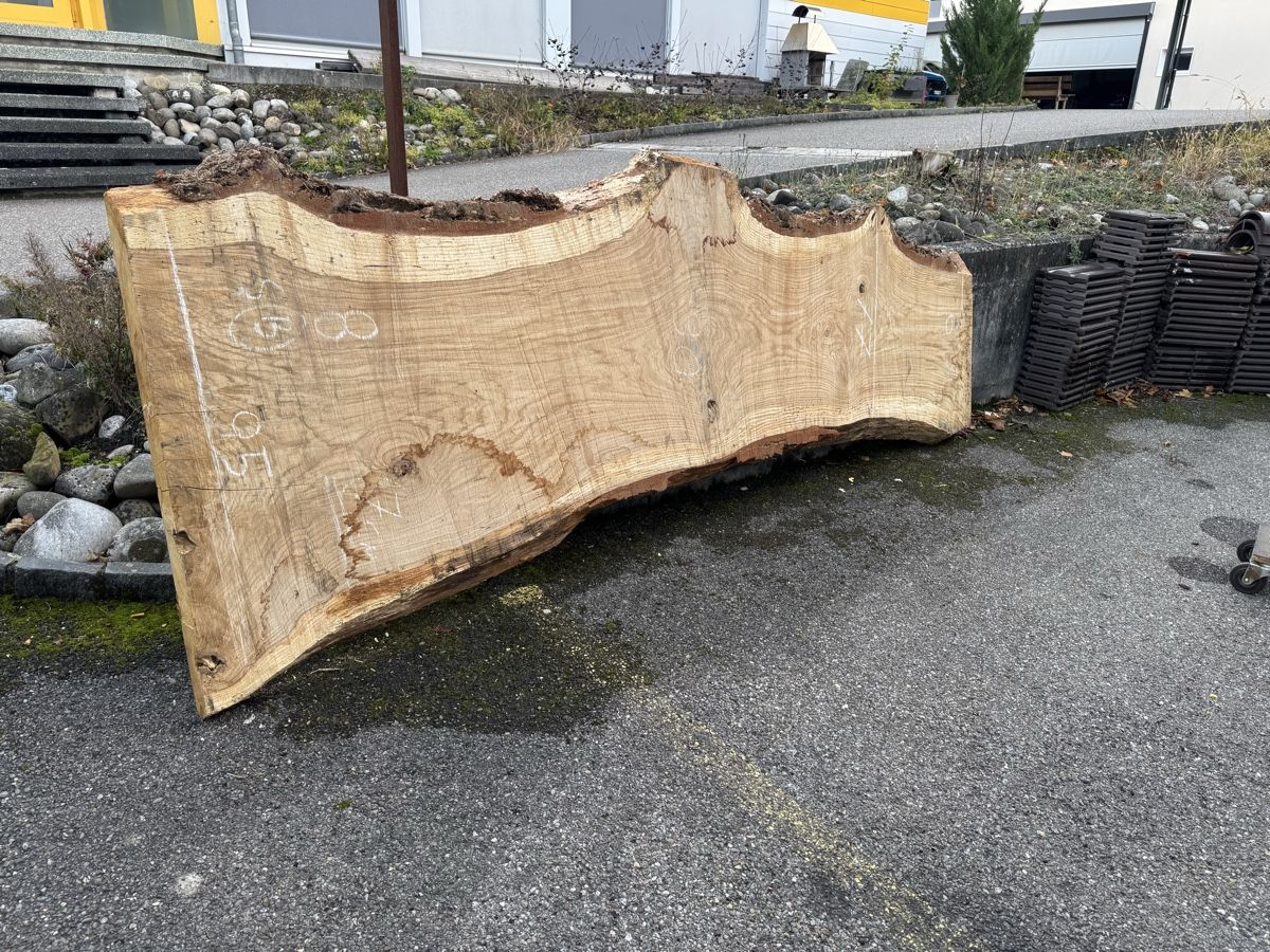 Articoli in legno: XXL - Tischplatte aus einem Stück - massive Baumscheibe – Usato da Gränichen venduto da onkel_xxl 5