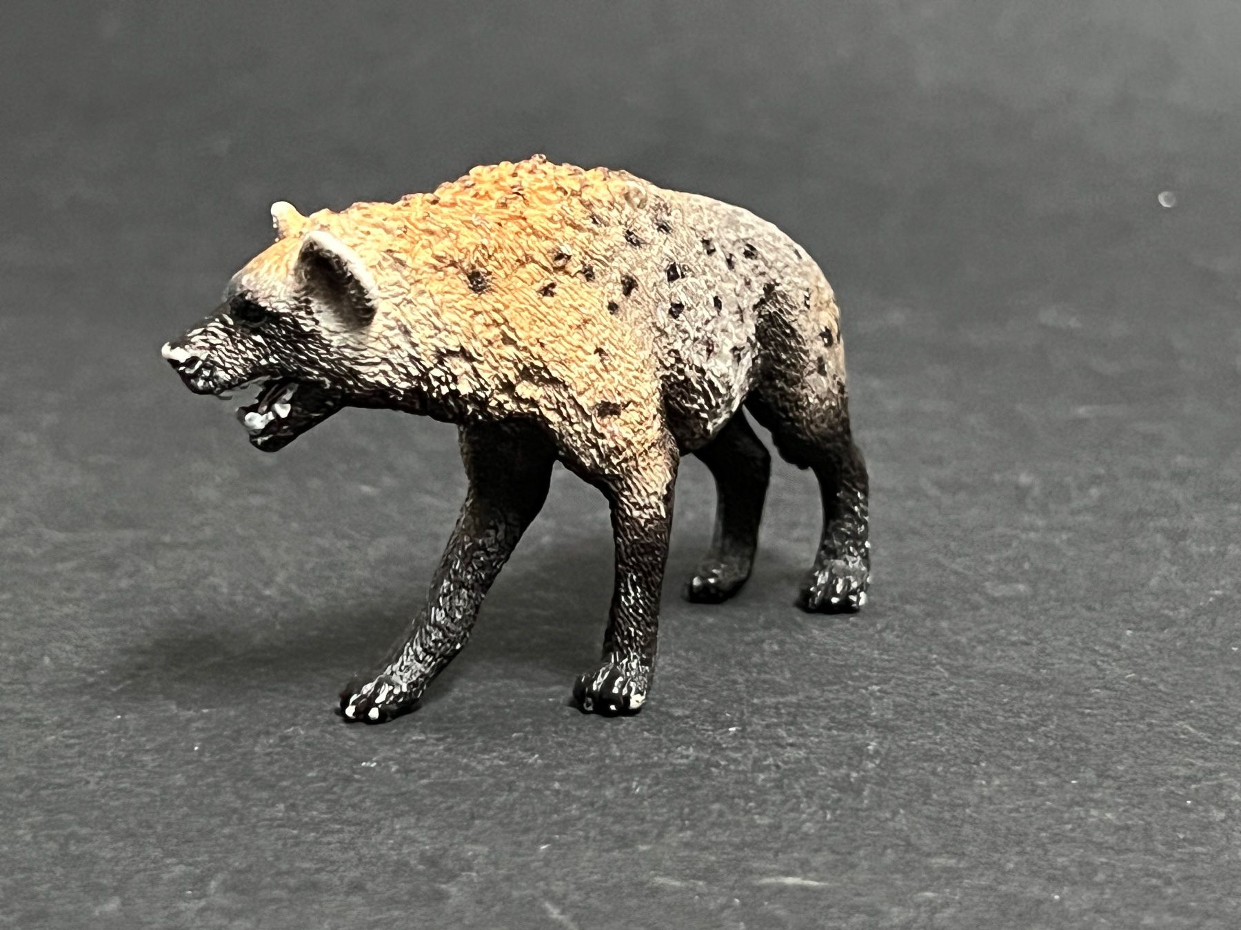 Schleich Figurines: Schleich 14735 Hyäne – D'occasion à Ennetbaden par mapa05 3