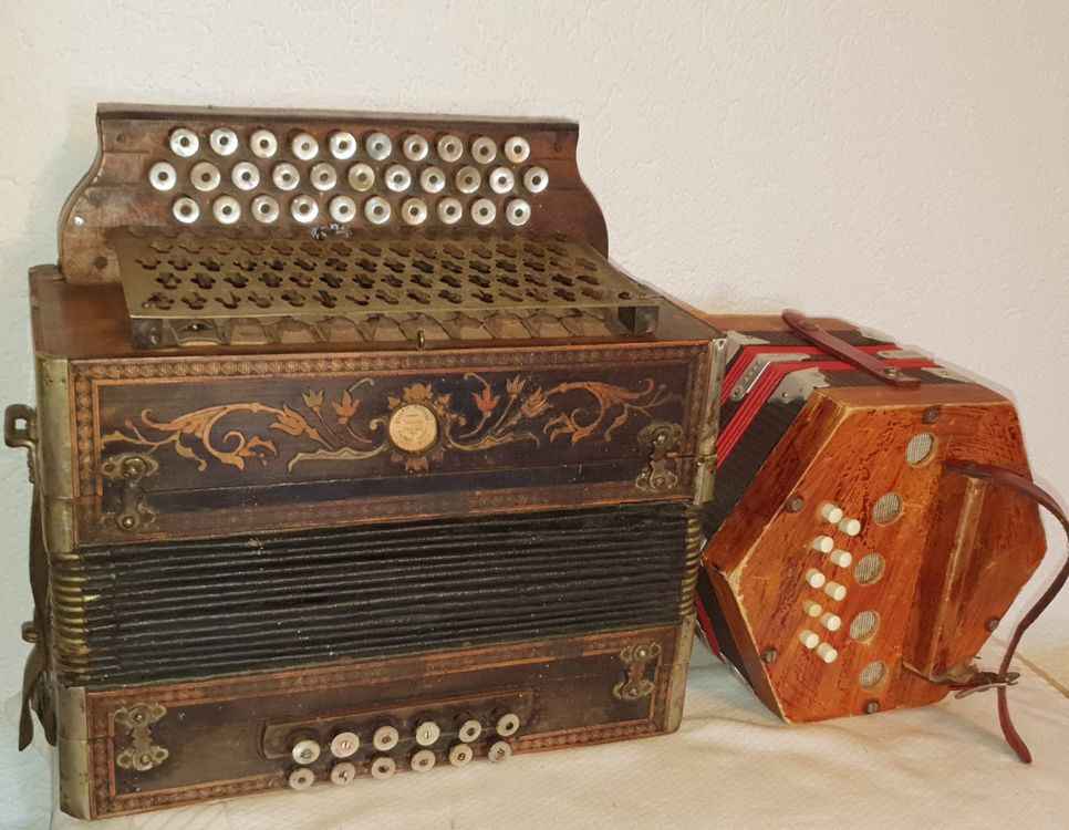 1 Accordéon Dallape 1 petite concertina Kaufen auf Ricardo