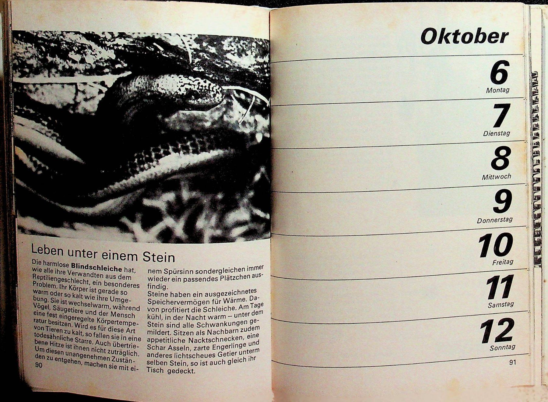 Calendari: Pestalozzi Kalender 1975 – Usato da Reitnau venduto da Zaomir 3