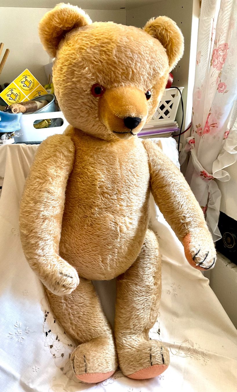 Teddy Hermann Jouets: Teddy Bär – D'occasion à Herisau par eri_2tb5 2