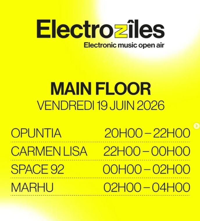 Tickets: 2x Eintritte Electroziles Open Air - Sion - 19.06.2026 – Neu (gemäss Beschreibung) aus Oberbuchsiten von PSH1980