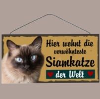 🔥 SIAMKATZE Holzschild mit Kordel 🎀 12x25cm NEU 🔥