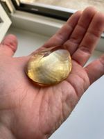 Facettierter Citrin 485 Karat - Madagaskar
