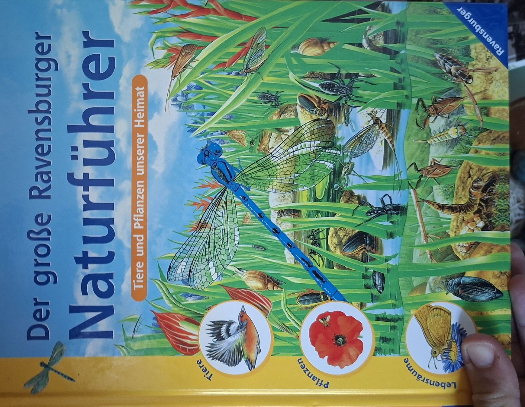 Livres: Der grosse Ravensburger Naturführer – D'occasion à Belp par fab_cfz8