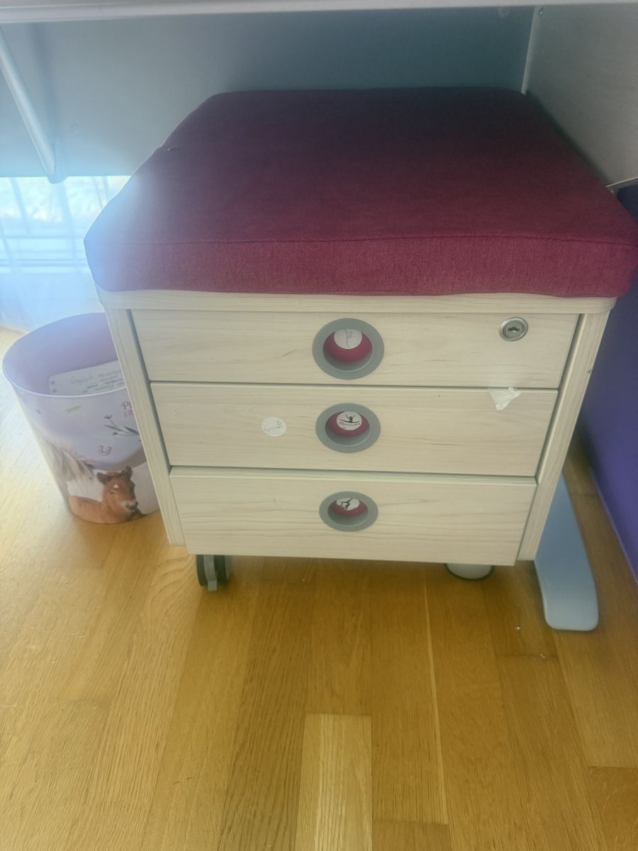Moll Schreibtische: Moll Schreibtisch + Rollcontainer mit Sitzkissen – Gebraucht aus Hagendorn von bara88 1