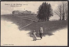 #Alp Scheidegg(Zürcher Oberland), Rundstempel Alp Scheidegg