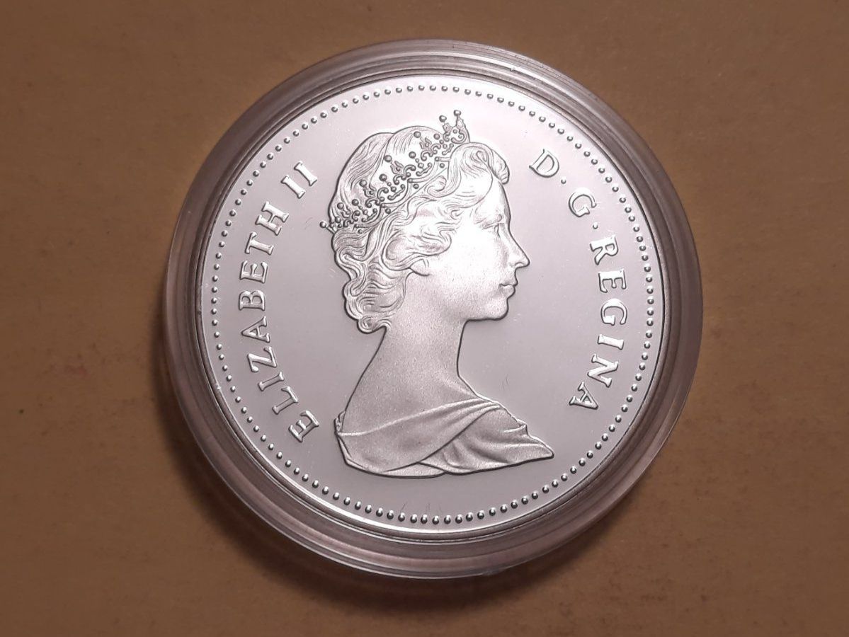Tutti le monete: Kanada 1 Dollar "MacKenzie River" 1989 Silber – Usato da Buchs SG venduto da numispatica 1