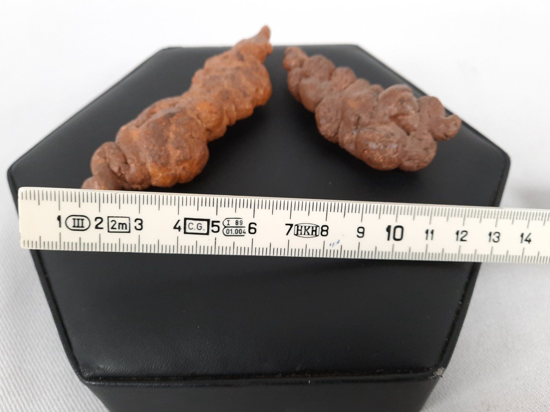 Fossilien: 2 Koprolith (Kotstein) – Gebraucht aus Beinwil am See von Restwert_Beinwil 5
