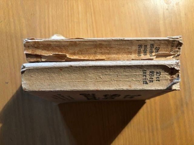 Libri: 2 antike Bücher von Erich Maria Remarque – Usato da Seon venduto da retep012 2