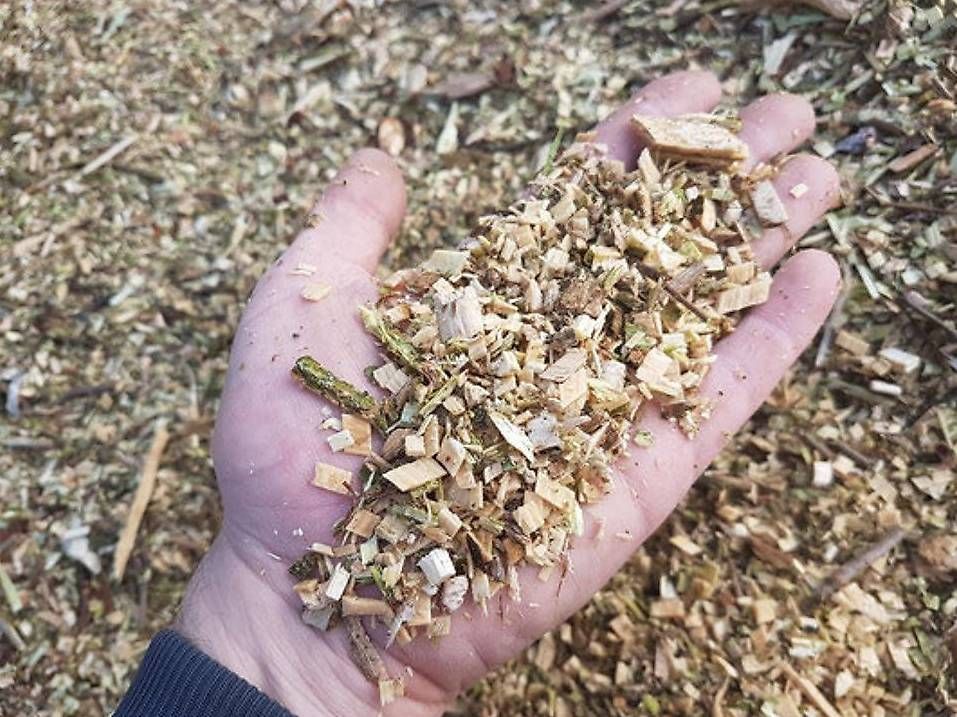 Trinciatrici: Vermietung Häcksler Holzhacker Anhänger Buschholzhacker – Usato da Baar venduto da Jungle4 4