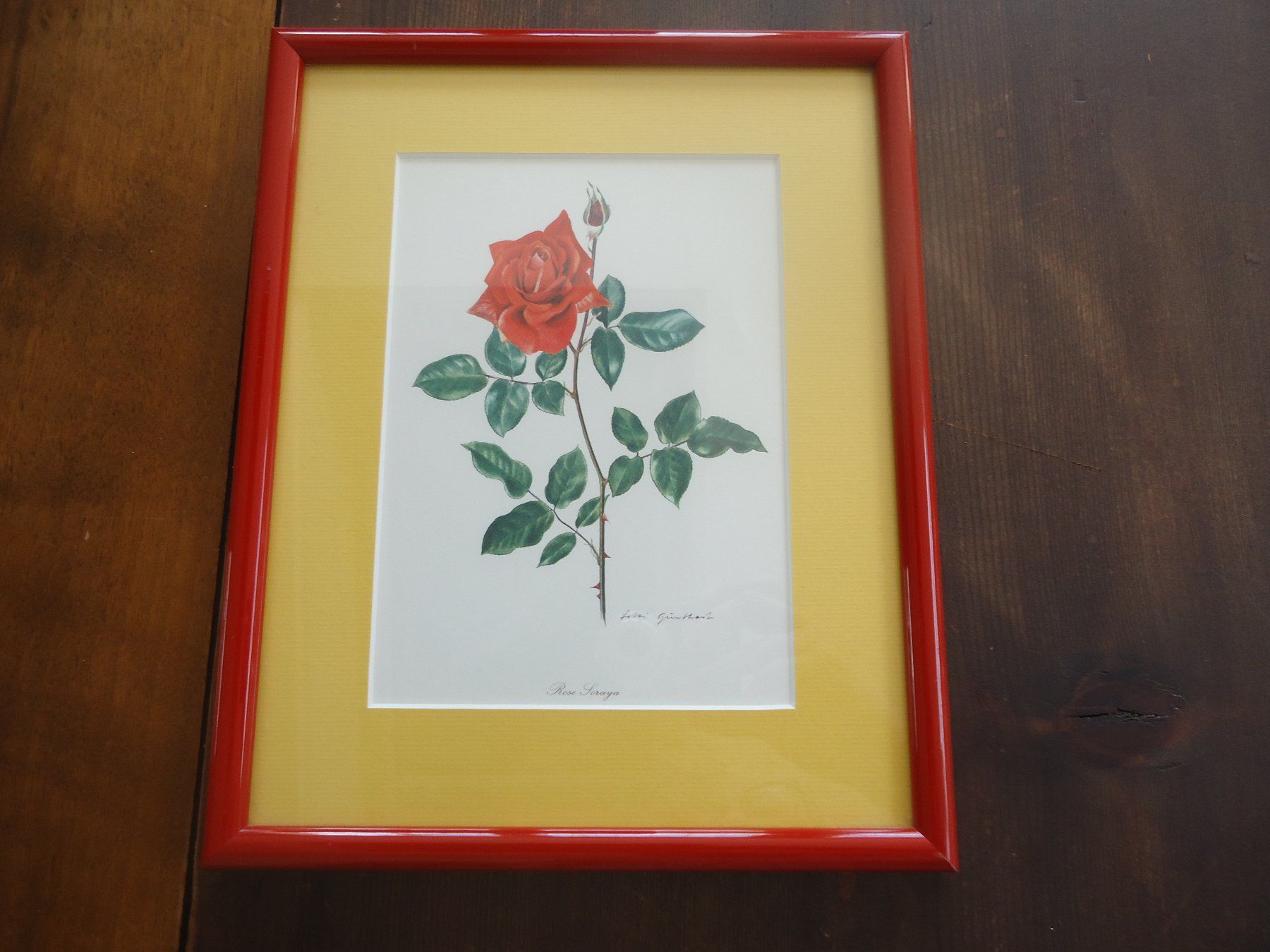 Dipinti: Dessins de roses rouges encadrés - 2 pièces – Usato da Vessy venduto da mafabe 2