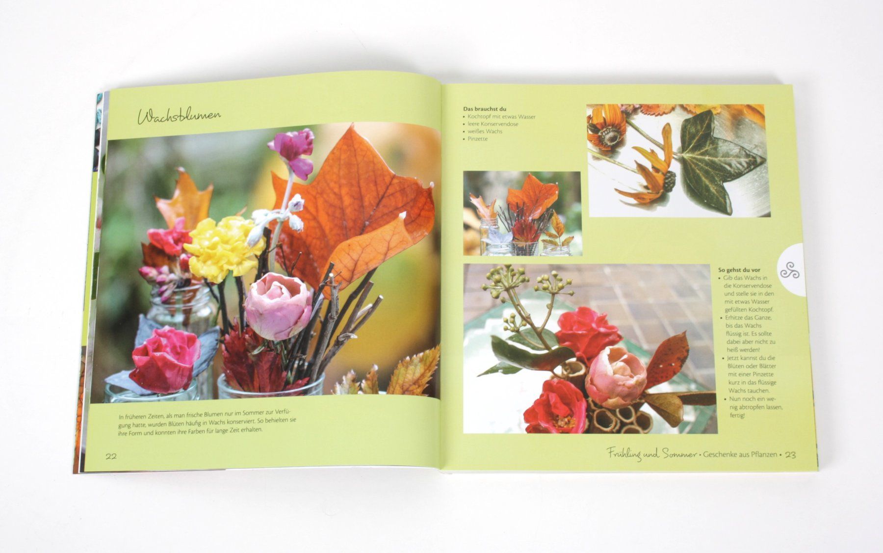 Libri: HAUPT: Naturgeschenke – Usato da Zollikofen venduto da Restwert_Zollikofen 1