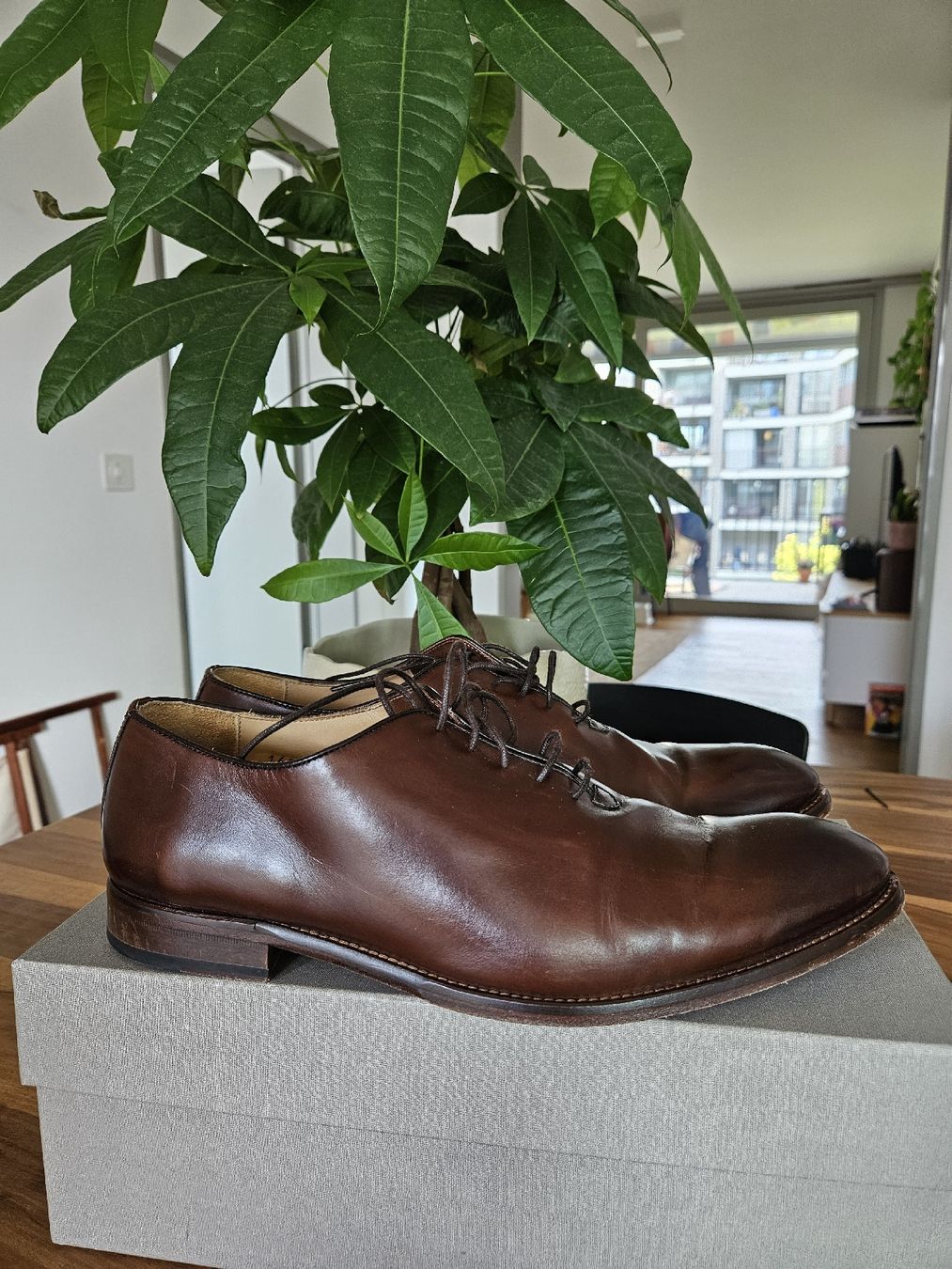 Scarpe da uomo: Herren Lederschuhe Marke Robert Ley – Usato da Zürich venduto da mml_9tg5 1