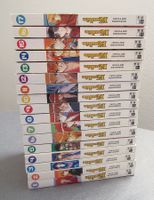 17 Mangas • Kenshin  Band 1-17 • von Nobuhiro Watsuki