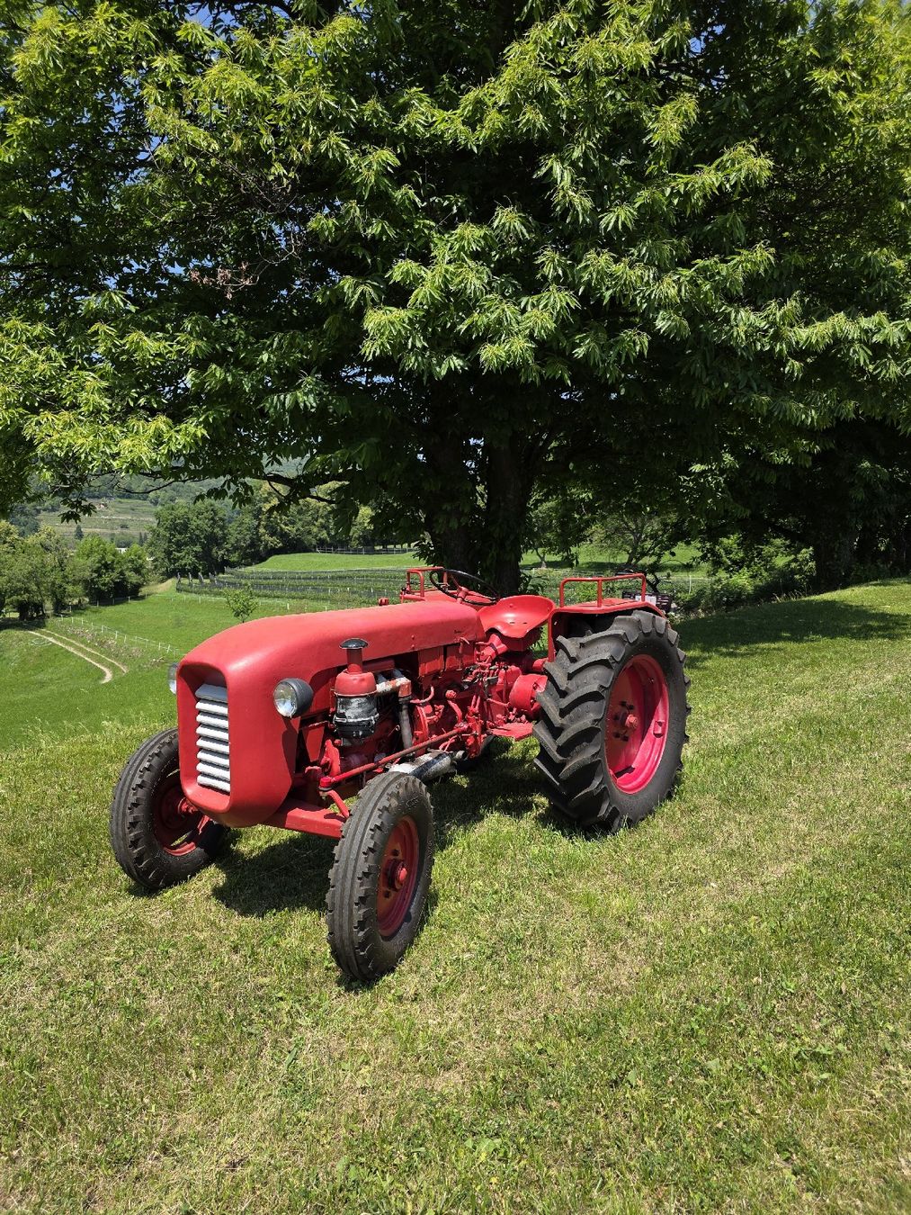 Bucher Trattori: Bucher D-4000 – Usato da Arzo venduto da Ferriagri 4