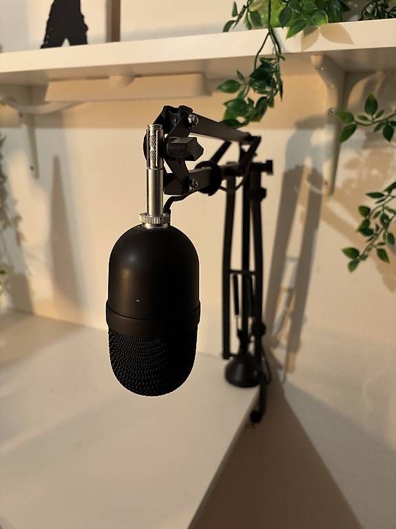 Microfoni: Razer seiren mini Mikrofon  – Usato da Beckenried venduto da ema_t6cf 2