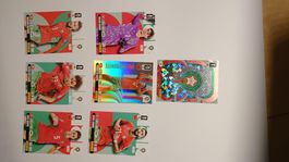 Marokko Lot XL Adrenalyn WM 2026 Top Zustand