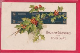PRÄGEKARTE, HERZLICHEN GLÜCKWUNSCH ZUM NEUEN JAHRE, 30.12.07