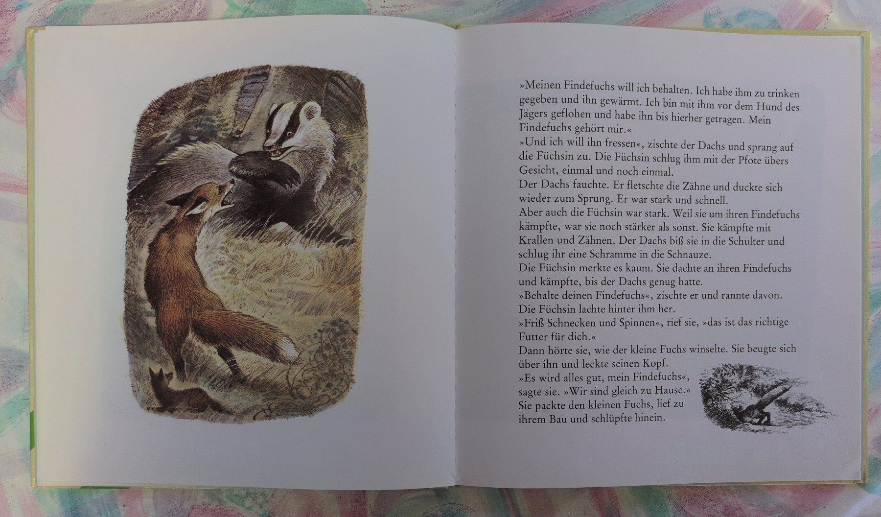 Libri: Der Findefuchs – Usato da Ottikon venduto da sobsale 2