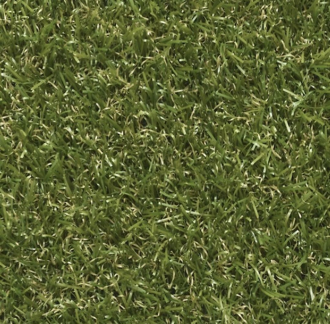 Tappetini fitness: Kunstrasen 15 mm / 300 x 200 cm – Nuovo e nell'imballaggio originale da Reinach BL venduto da Malin20 1