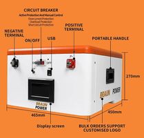 BATTERIA LIFEPO4 12/24V Bms Jk