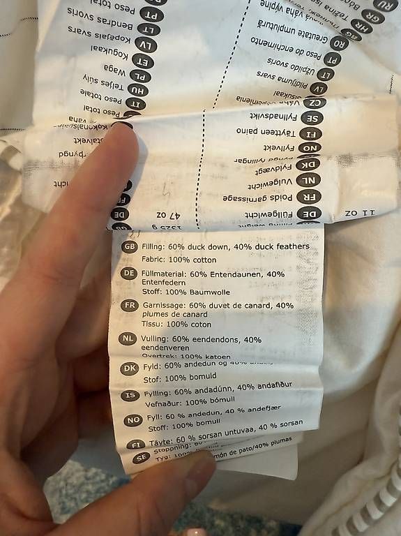 Ikea Coperte: 2 Daunenbettdecken IKEA 150x200cm – Usato da Bern venduto da Sareliii 2