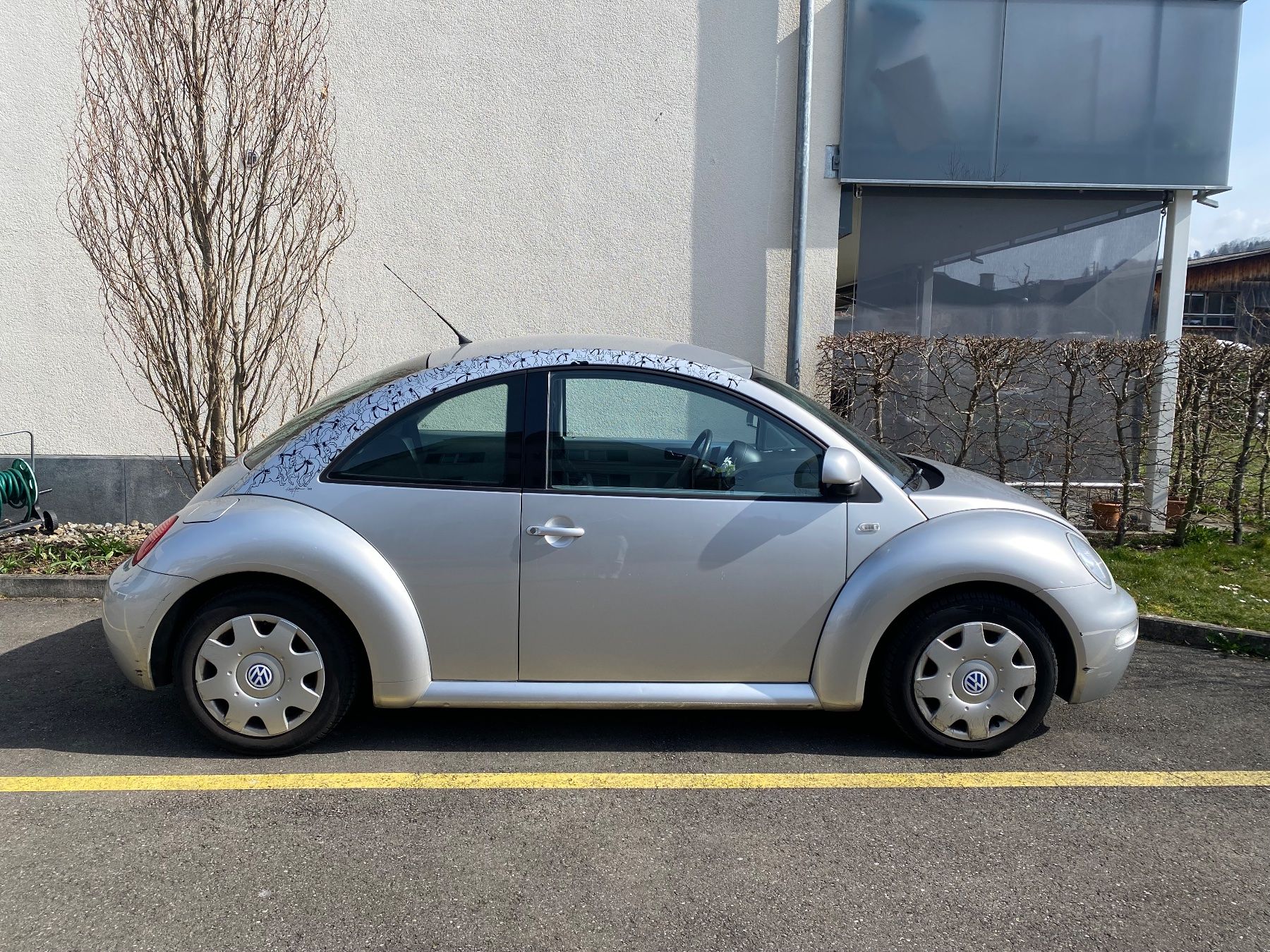 VW Automobili: VW New Beetle – Usato da Liebefeld venduto da mad_5mqd