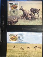 WWF Guinea 1987 Wildhund Satz Maximumkarten