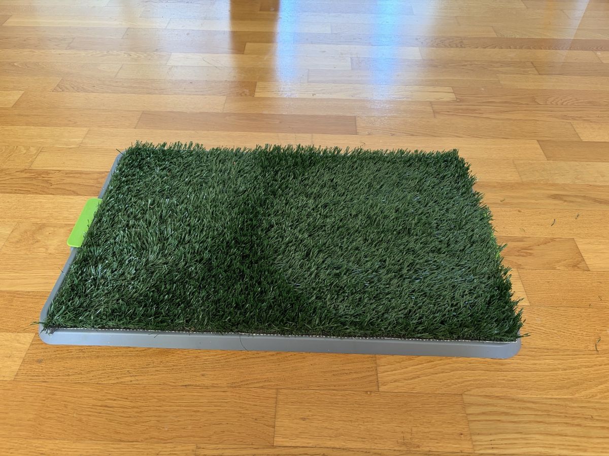 Cucce & Letti: Dog Peemat Unused – Usato da Adliswil venduto da WetTowel42