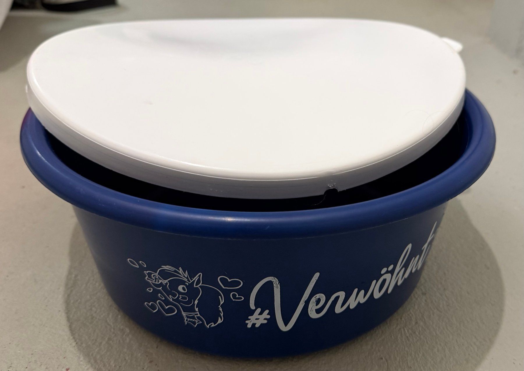 Schalen: Behälter für Kraftfutter unterwegs oder Mash – Gebraucht aus Zollikofen von Maria_verena 2
