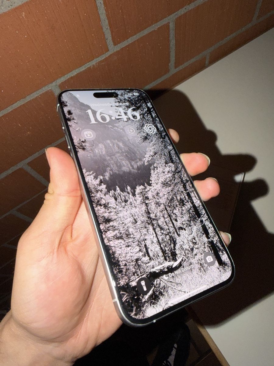 Apple Telefoni cellulari / Smartphones: iPhone 15 Pro Max 83% Akku – Usato da Wallisellen venduto da kun_km8k 4