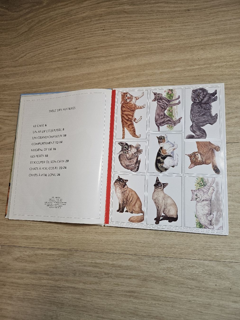 Bücher: Livre "Les Chats" Imagerie Animale Fleurus – Gebraucht aus La Joux FR von car_ck96 3