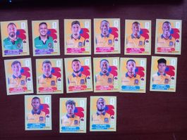 Stickers Panini World Cup 2026 Team ECU