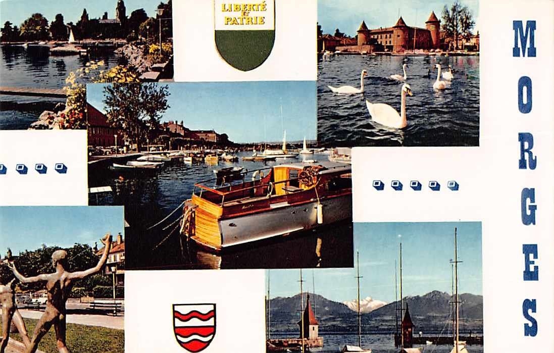 Cartoline postali: SOUVENIR de MORGES VD – Usato da Winterthur venduto da SchatzchischtliWinti