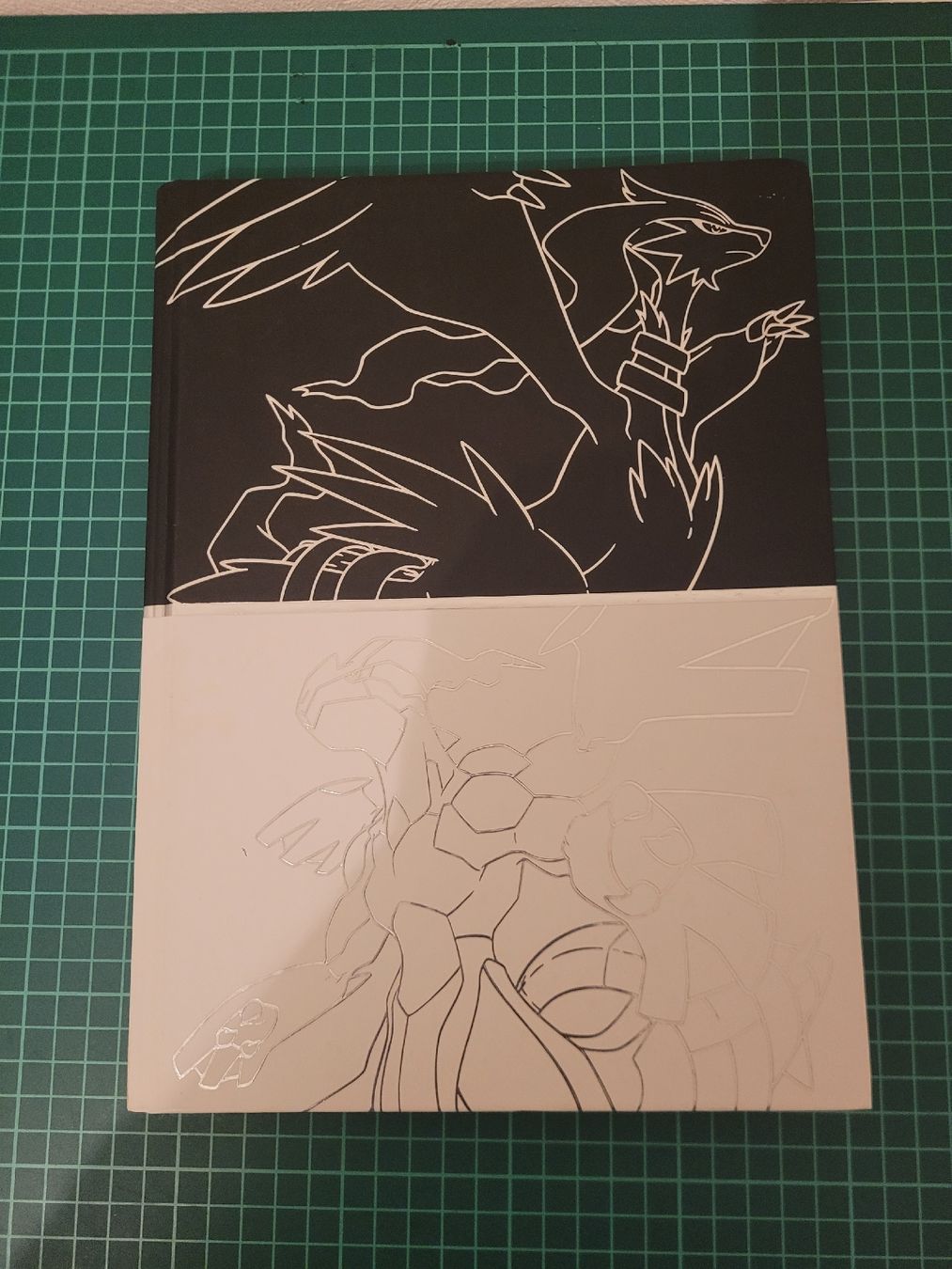 Libri: Pokemon Black and White guidebooks, map and inserts! – Usato da Meyrin venduto da Retro-GZ 1