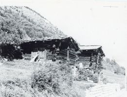 Lötschental   VS  -  Stadel
